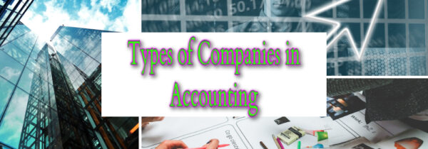 Types of Companies in Accounting
