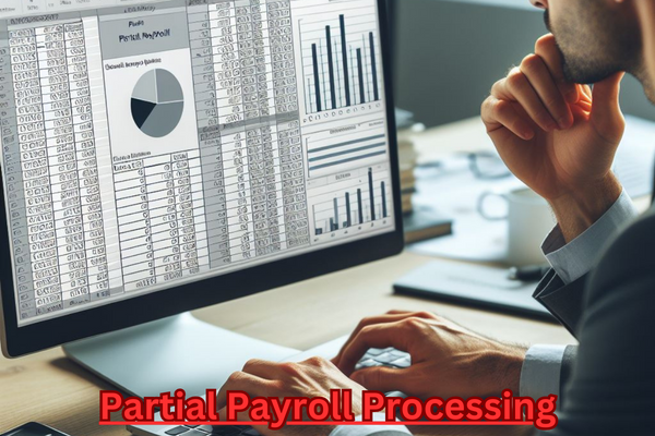 Partial Payroll Processing